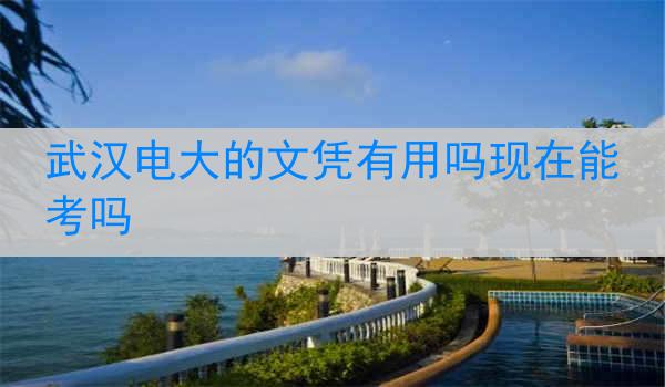 武汉电大的文凭有用吗现在能考吗
