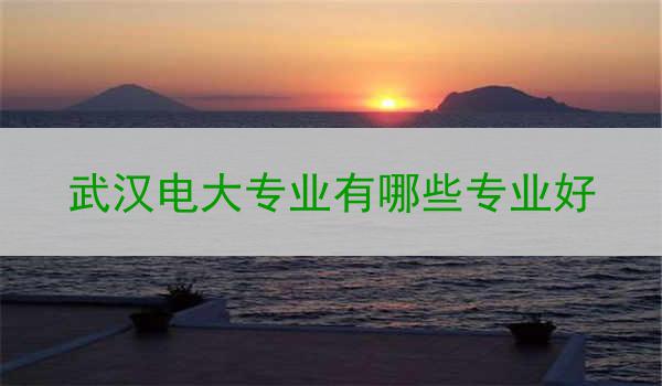 武汉电大专业有哪些专业好