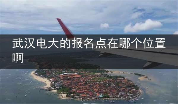 武汉电大的报名点在哪个位置啊