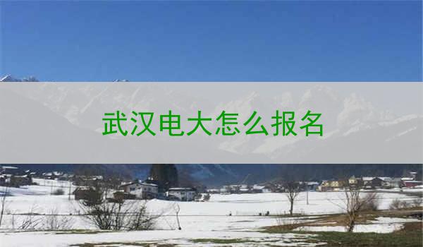 武汉电大怎么报名