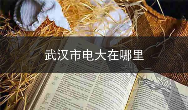 武汉市电大在哪里