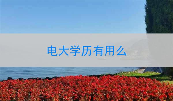 电大学历有用么