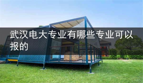 武汉电大专业有哪些专业可以报的