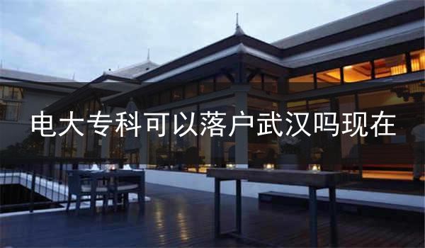 电大专科可以落户武汉吗现在