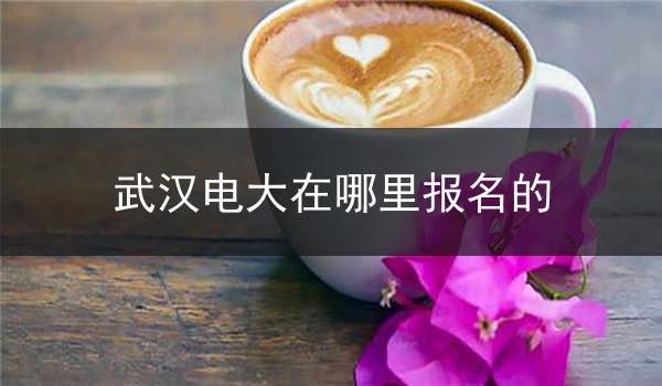 武汉电大在哪里报名的