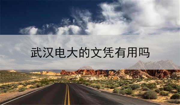 武汉电大的文凭有用吗