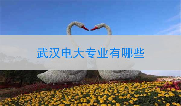 武汉电大专业有哪些