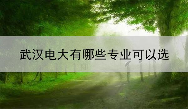 武汉电大有哪些专业可以选