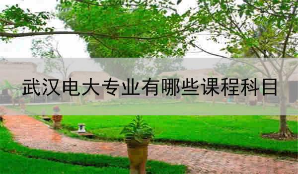 武汉电大专业有哪些课程科目