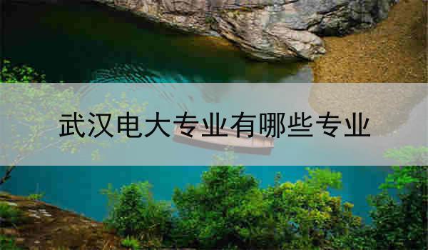 武汉电大专业有哪些专业