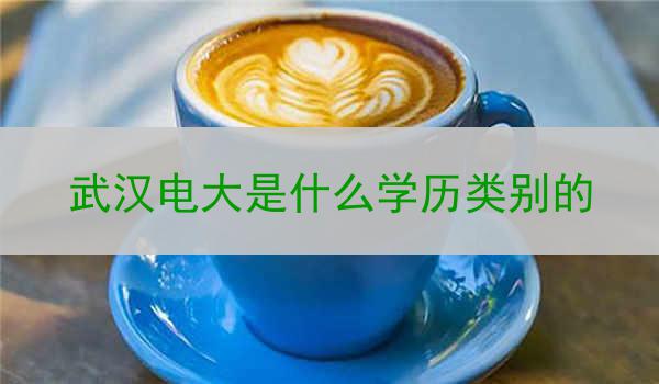 武汉电大是什么学历类别的