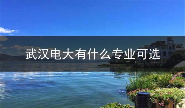武汉电大有什么专业可选