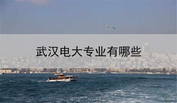 武汉电大专业有哪些