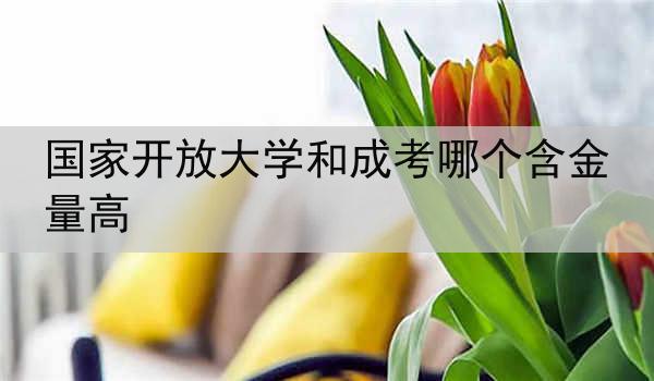 国家开放大学和成考哪个含金量高