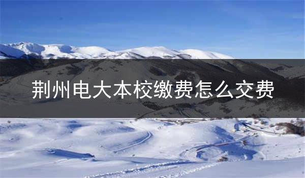荆州电大本校缴费怎么交费