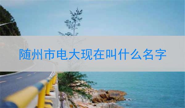 随州市电大现在叫什么名字