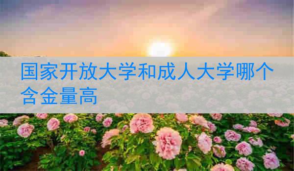 国家开放大学和成人大学哪个含金量高