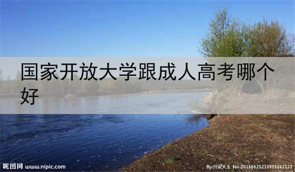 国家开放大学跟成人高考哪个好