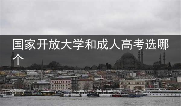国家开放大学和成人高考选哪个