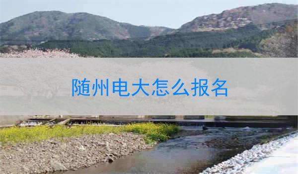 随州电大怎么报名
