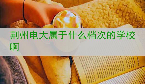 荆州电大属于什么档次的学校啊
