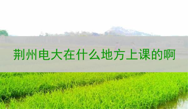 荆州电大在什么地方上课的啊