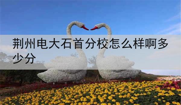 荆州电大石首分校怎么样啊多少分