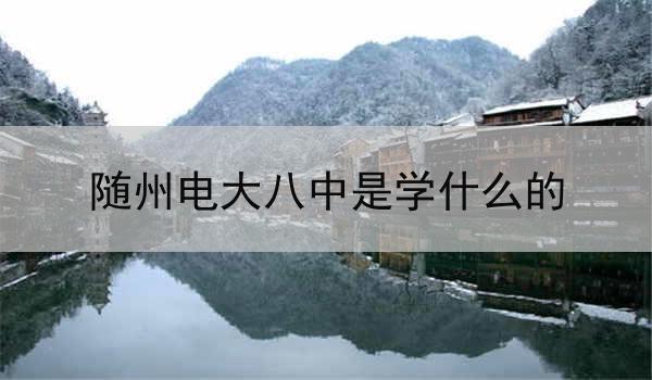 随州电大八中是学什么的