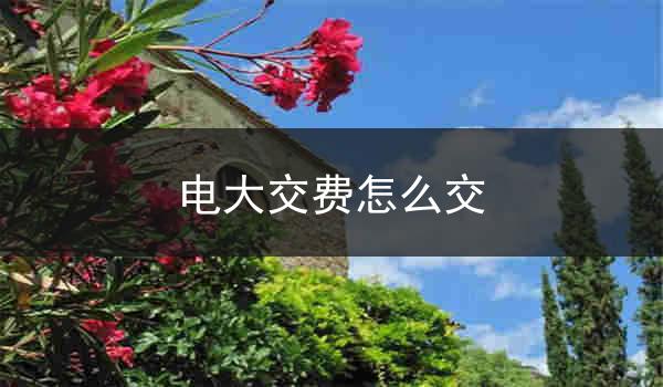 电大交费怎么交