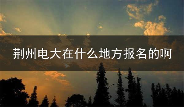 荆州电大在什么地方报名的啊