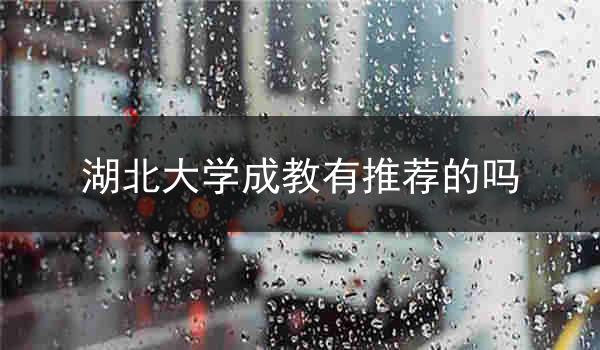 湖北大学成教有推荐的吗