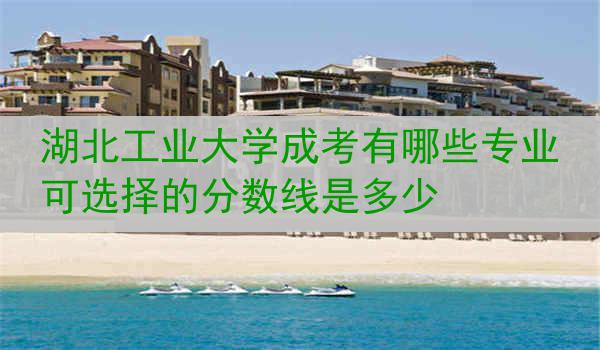 湖北工业大学成考有哪些专业可选择的分数线是多少