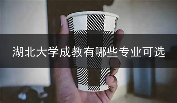湖北大学成教有哪些专业可选