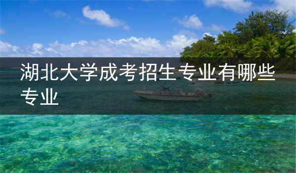 湖北大学成考招生专业有哪些专业
