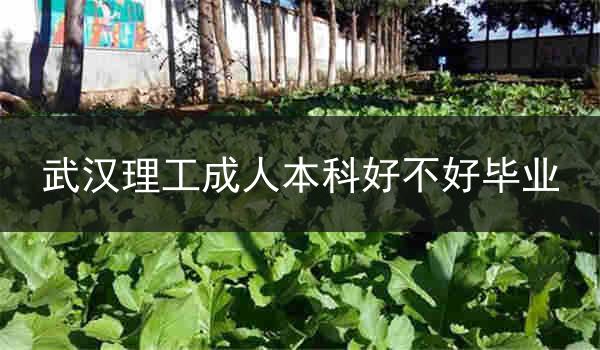 武汉理工成人本科好不好毕业