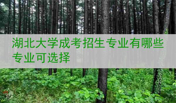 湖北大学成考招生专业有哪些专业可选择