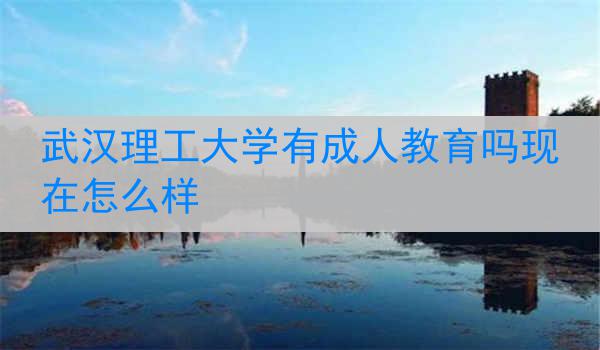 武汉理工大学有成人教育吗现在怎么样