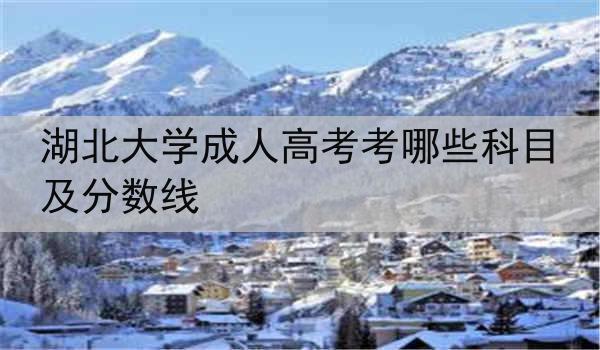 湖北大学成人高考考哪些科目及分数线