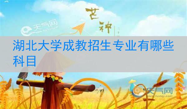 湖北大学成教招生专业有哪些科目