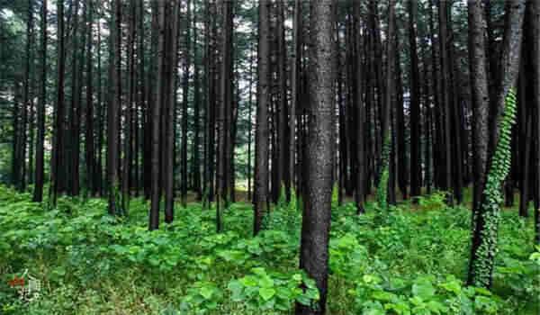 武汉理工大学继续教育学院怎么样啊