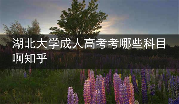 湖北大学成人高考考哪些科目啊知乎