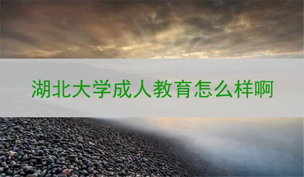 湖北大学成人教育怎么样啊