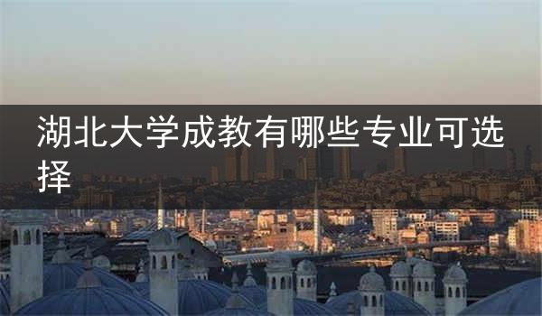 湖北大学成教有哪些专业可选择
