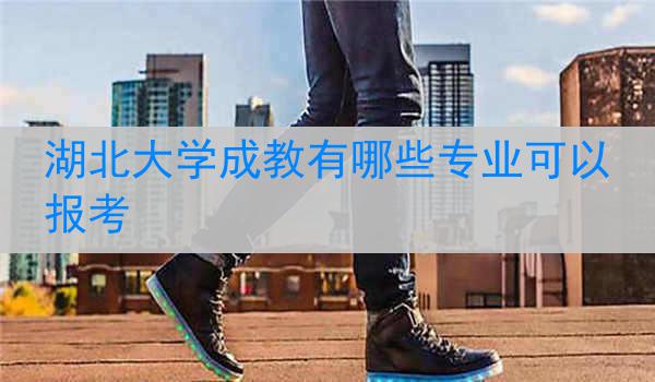 湖北大学成教有哪些专业可以报考