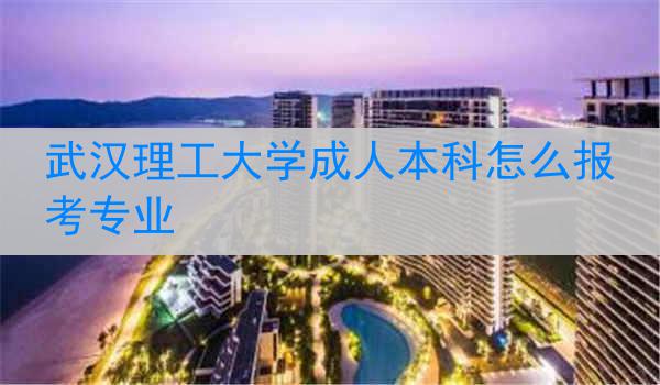 武汉理工大学成人本科怎么报考专业