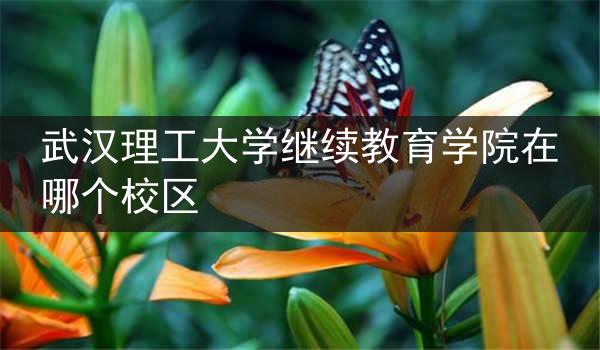 武汉理工大学继续教育学院在哪个校区
