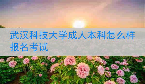 武汉科技大学成人本科怎么样报名考试