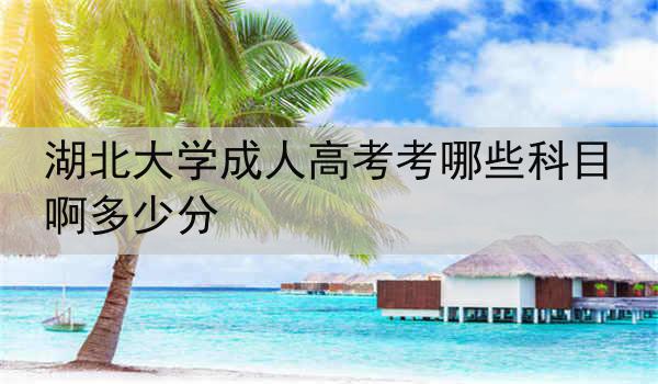 湖北大学成人高考考哪些科目啊多少分