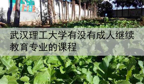 武汉理工大学有没有成人继续教育专业的课程