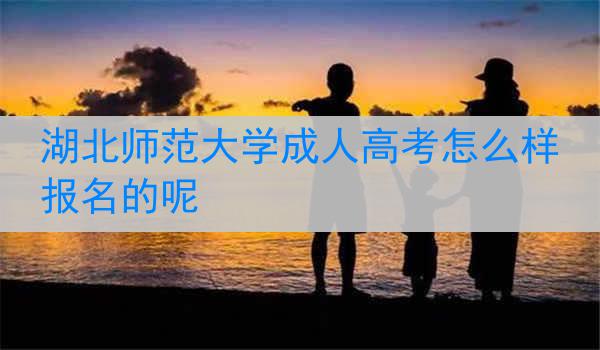 湖北师范大学成人高考怎么样报名的呢